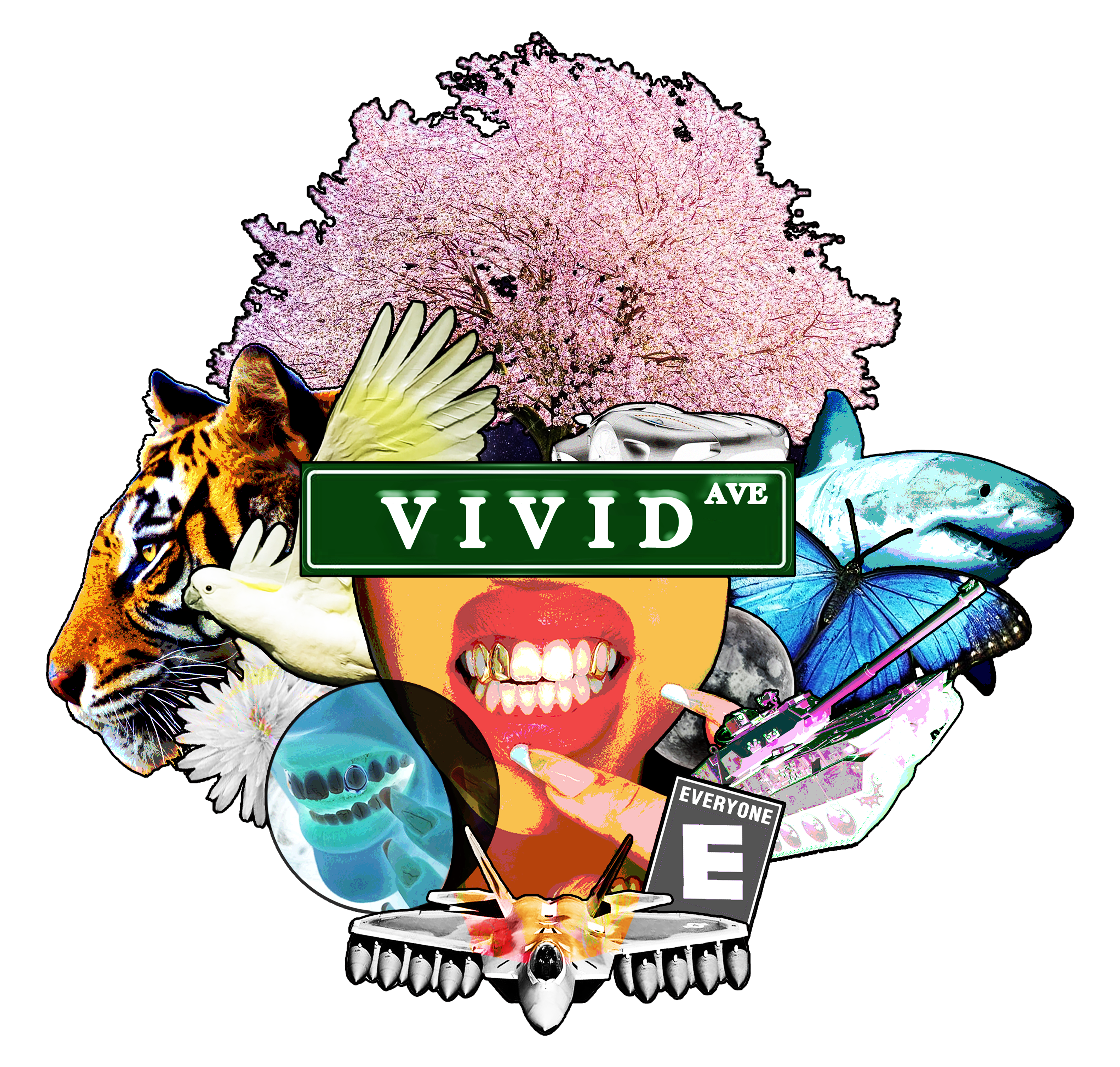 VIVID ave. logo
